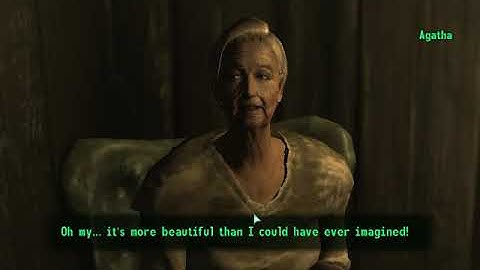 Fallout 3 Modded Part 9