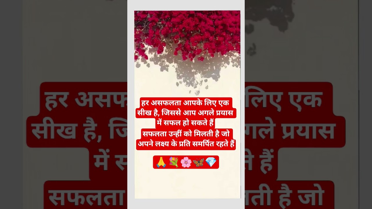 सफलता 💎🦋🧿✨🌸🌿