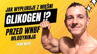 Download Lagu Peak Week before WNBF! How I flush glycogen and get in the shape of my life for competition! MP3 Download Lagu Peak Week before WNBF! How I flush glycogen and get in the shape of my life for competition! MP3