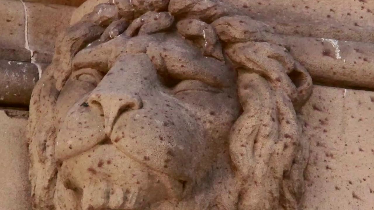 Sydney Town Hall: A Social History