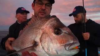 Video: PENN Fierce III Live Liner Reel