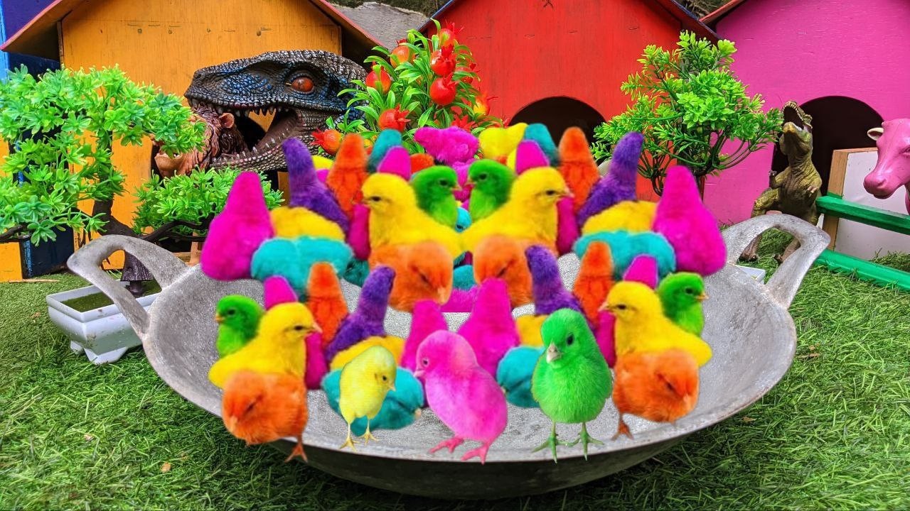 ADORABLE RAINBOW CHICKS AND BUNNY BEST FRIENDS || COLORFUL BABY CHICKS