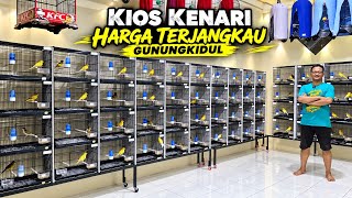 Review KENARI MURAH‼️Dari lokal, af, f1sf, f1ys sampai SCOTCH FANCY IMPORT....