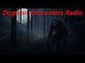 Dogman Encounters Episode 265 (It Looks Like a Werewolf!)
