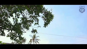 Overview of Labone SHS