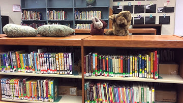 1st Grade Lesson 15: Self Talk for Calming Down