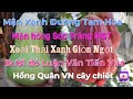 Vlog54 mn ging mi mst mn xanh ng tam hoa cch phn bit qua l  mua ng ging