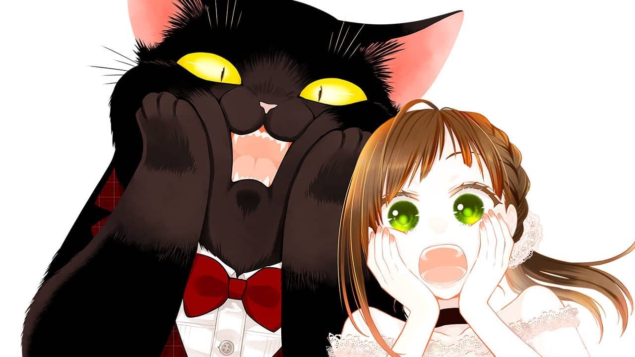 (FD) Dekiru Neko wa Kyou mo Yuuutsu (The Masterful Cat Is Depressed