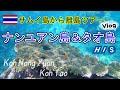 🇹🇭ナンユアン島＆タオ島でスノーケリング│🇹🇭タイ散歩Vlog│HISタイランド
