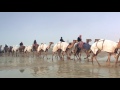 Dari Qatar Uniquely Qatar Let S Make A Film Together 