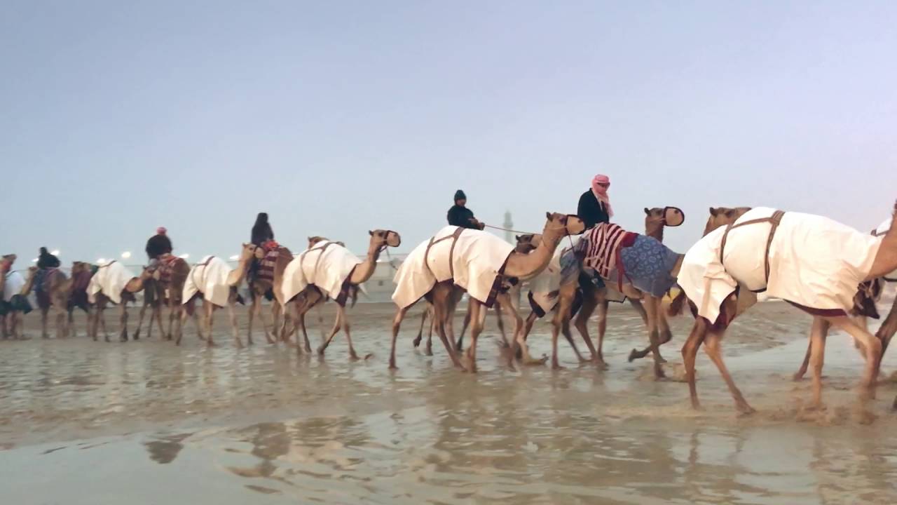 Dari Qatar: Uniquely Qatar. Let's Make a Film Together