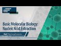 Nucleic Acid Separation Techniques Using Gel Electrophoresis