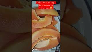 seedless papaya #seedless #papaya #dessert #sweets #sweettooth #viralvideo #viralshorts #viral