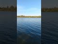 Отдых на Оке