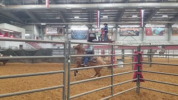 Woodshe Be Trouble - Texas State RSNC Ranch Sorting Finals
