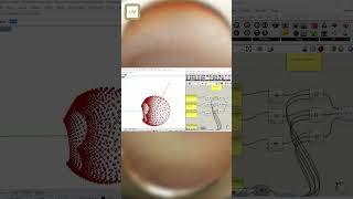 Stereo Sphere Surface from Points grasshopper rhino tutorial 🦗+🦏