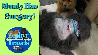 Monty’s Emergency Surgery  When a Medical Emergency Interrupts Your Trip Part 4 | RV Lifestyle