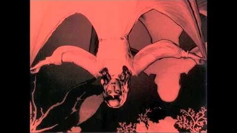 Season of the Witch Lyric Video version - Lyric Video performance video thumbnail