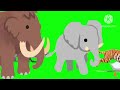 Animal Stampede Green Screen