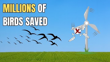 Birds And Wind Turbines: A Simple Change Could Save Millions of Lives