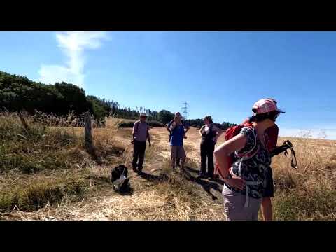 Lintzford Loop walk with 'Interesting Walks - Your Friendly NE Walking Group'