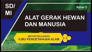 Alat Gerak Hewan dan Manusia Macam-Macam Serta Fungsinya IPA Kelas 5 SD MI Alat Gerak Hewan dan Manusia Macam-Macam Serta Fungsinya IPA Kelas 5 SD MI
