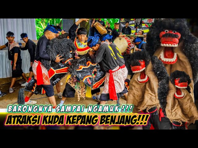 Barong Nya Sampai Ngamuk!!! - Atraksi Kuda Kepang Benjang!!! || Seni Benjang Mekar Saluyu class=