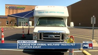 League for Animal Welfare hosts adoption event for homeless animals