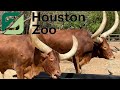 Houston Zoo 2021 Tour & Review with The Legend