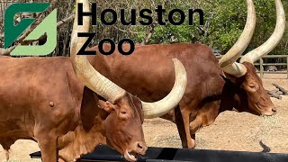 Houston Zoo Tour & Review with The Legend