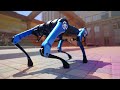Одна из первых роботов-собак в России — обзор A1