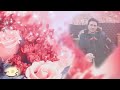امي منير حمادة حالة واتس اب امي منير حمادة حالة واتس اب
