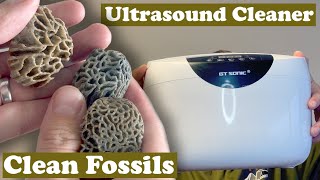 Can i clean fossils with ultrasonic cleaner?