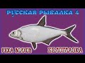 РР4 ВОЛХОВ БЕЛОГЛАЗКА / РУССКАЯ РЫБАЛКА 4 ВОЛХОВ БЕЛОГЛАЗКА / RUSSIAN FISHING 4 WHITE-EYE BREAM