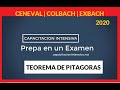 PREPA-TEOREMA DE PITÁGORAS Super facil-EXAMEN CENEVAL  ⚠️⚠️⚠️2020