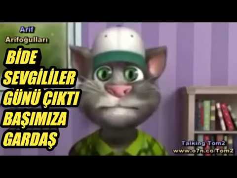 KEDİ SEVGİLİLER GÜNÜ KUTLUYOR