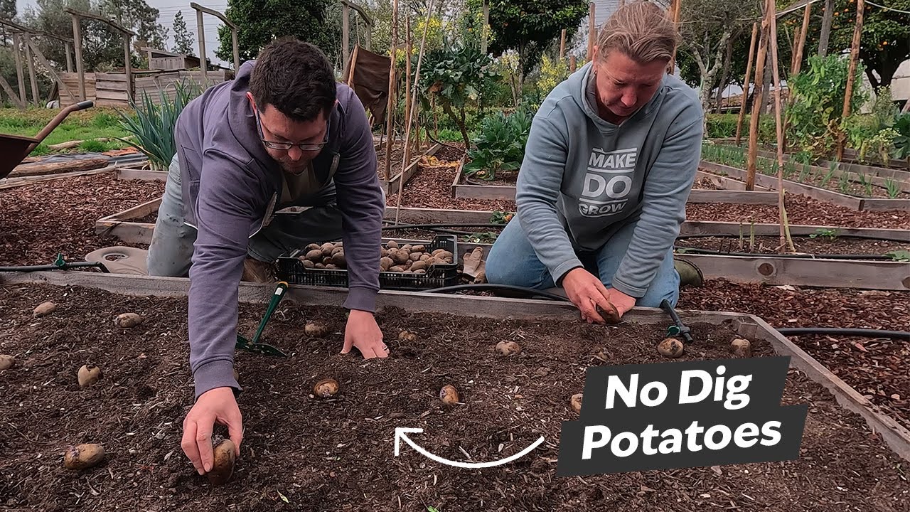 Planting No Dig Potatoes in the Rain - Spring Garden Tour - YouTube
