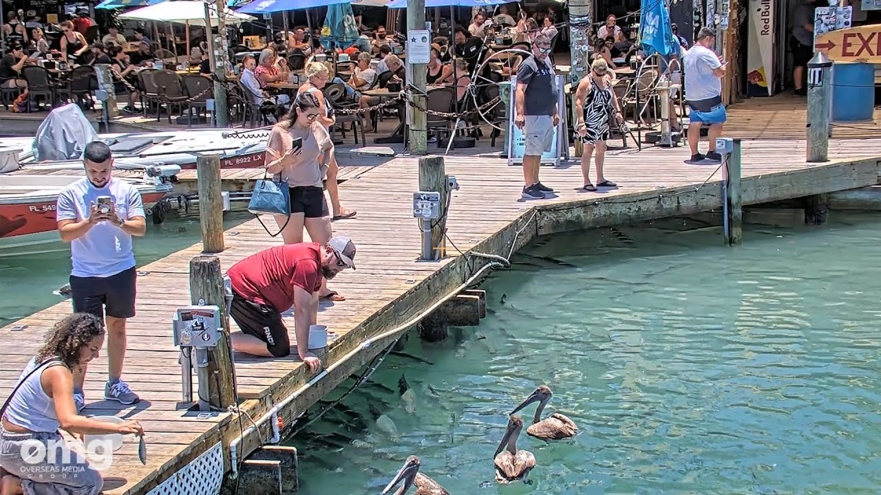 Robbie's Marina