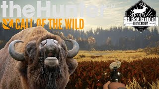 I Hunted every animal in Hirschfelden (The Hunter Call of The Wild)