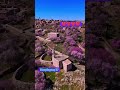 Doğa yaşam huzur mutluluk #short #shorts #youtubevideo #youtubeshorts #youtube #viralvideo #viral