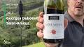 Saint-Amour wine from www.youtube.com