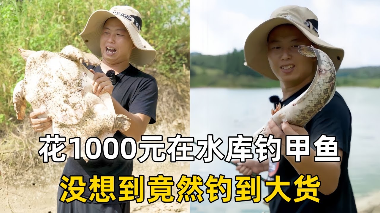 小飞哥花1000元在水库钓甲鱼，没想到竟然钓到大货！｜在二舅家莲子塘放几个地笼，看看到底能上多少货？