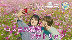 ダイヤモンドシティ小美玉 Youtube
