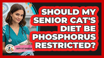 Should My Senior Cat