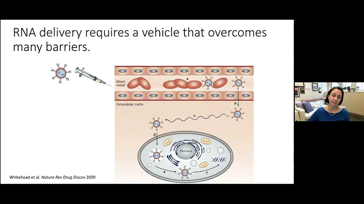 MIT.nano Seminar Series: Kathryn Whitehead