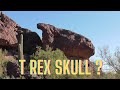 Giant T Rex Head ??