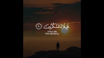 الَّذِي أَحْسَنَ كُلَّ شَيْءٍ خَلَقَهُ وَبَدَأَ خَلْقَ الْإِنْسَانِ مِنْ طِينٍ (7) - سورة السجدة.