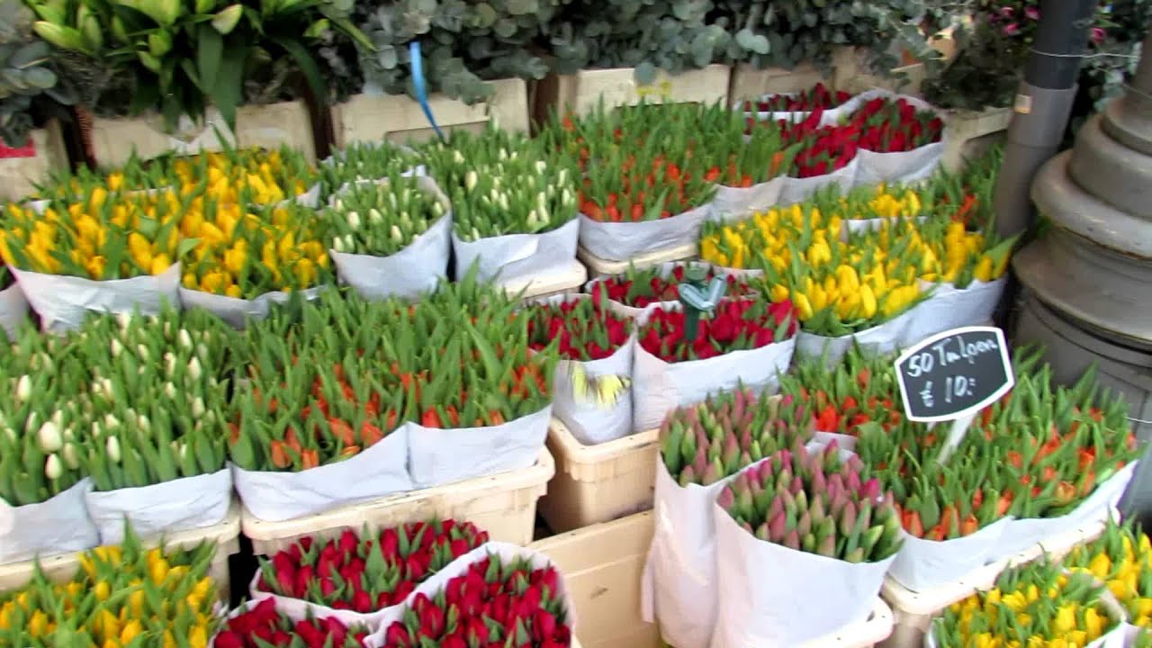 Сколько стоят тюльпаны на рынке. Рижский рынок тюльпаны. Киевский рынок цветов. Тюльпаны на рынке. Тюльпаны на цветочном рынке.