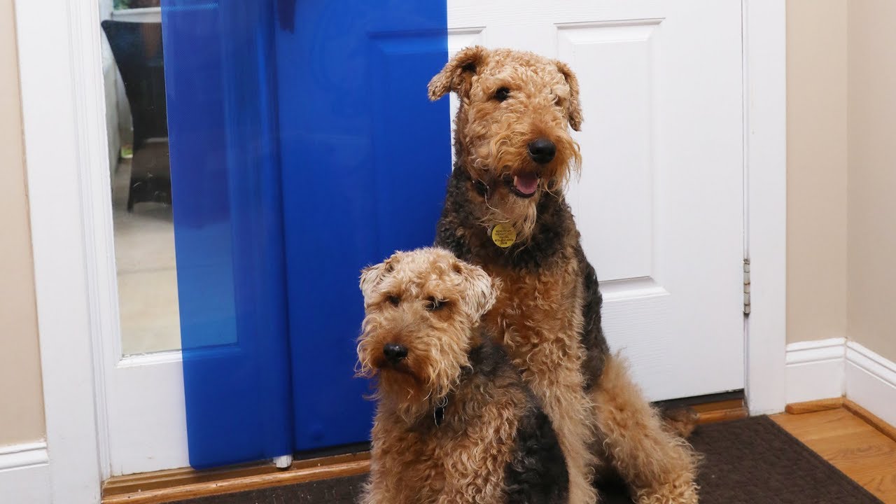 clawguard door shield