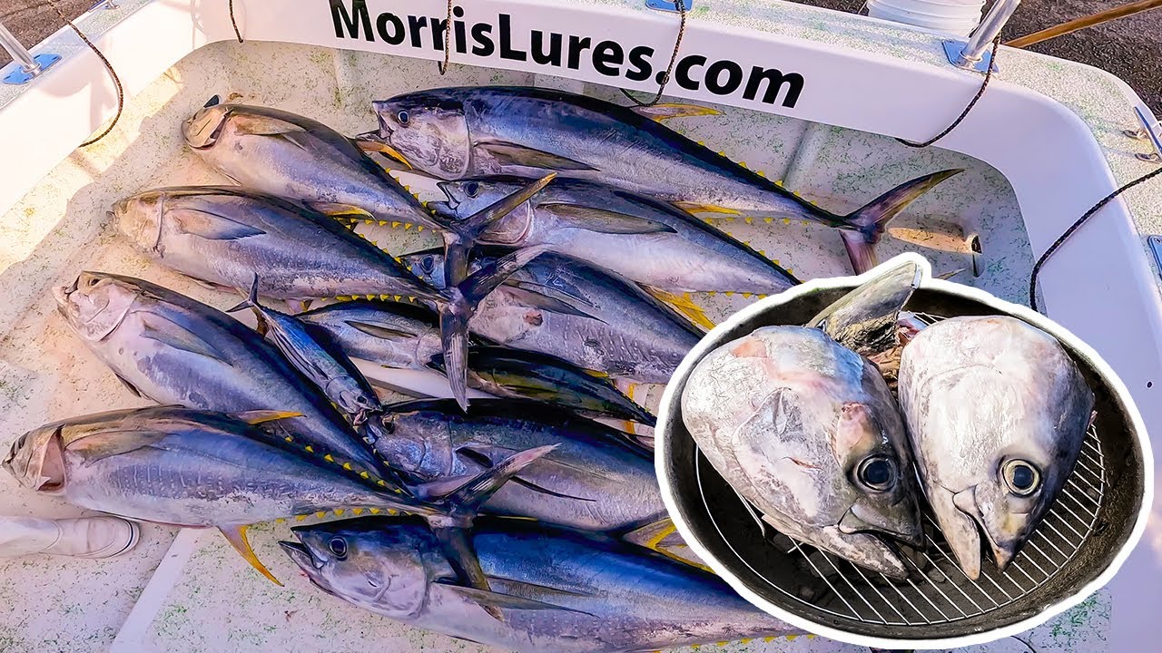 24 Hour Fishing Challenge In Hawaii Tuna Heads Catch And Cook YouTube 24-hour-fishing-challenge-in-hawaii-tuna-heads-catch-and-cook-youtube